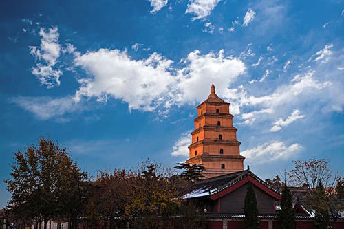 赏曲江美景,体验中国年