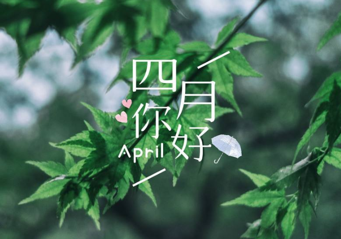 未来家园的一角