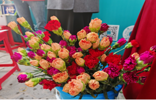 情暖女神节,物业送花香