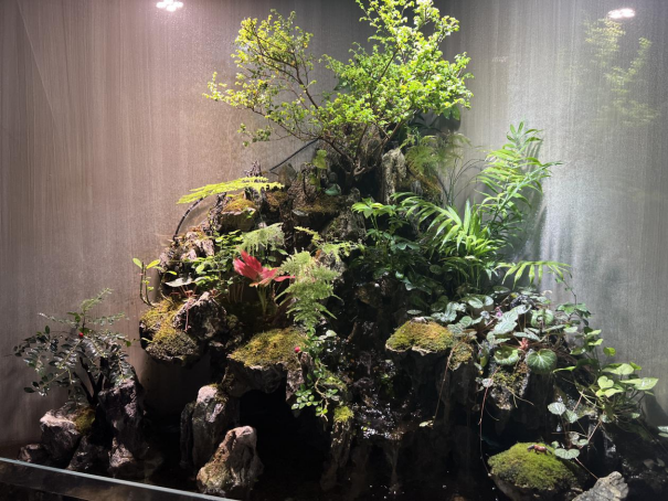 春暖花开,物业客服前台绿植养护日记