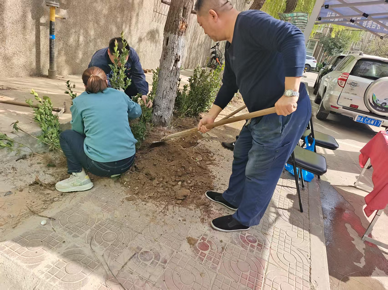 绿化补栽正当时