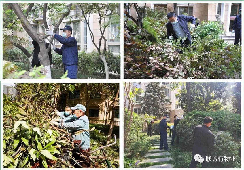 1592907242760137.jpg 13-3.jpg