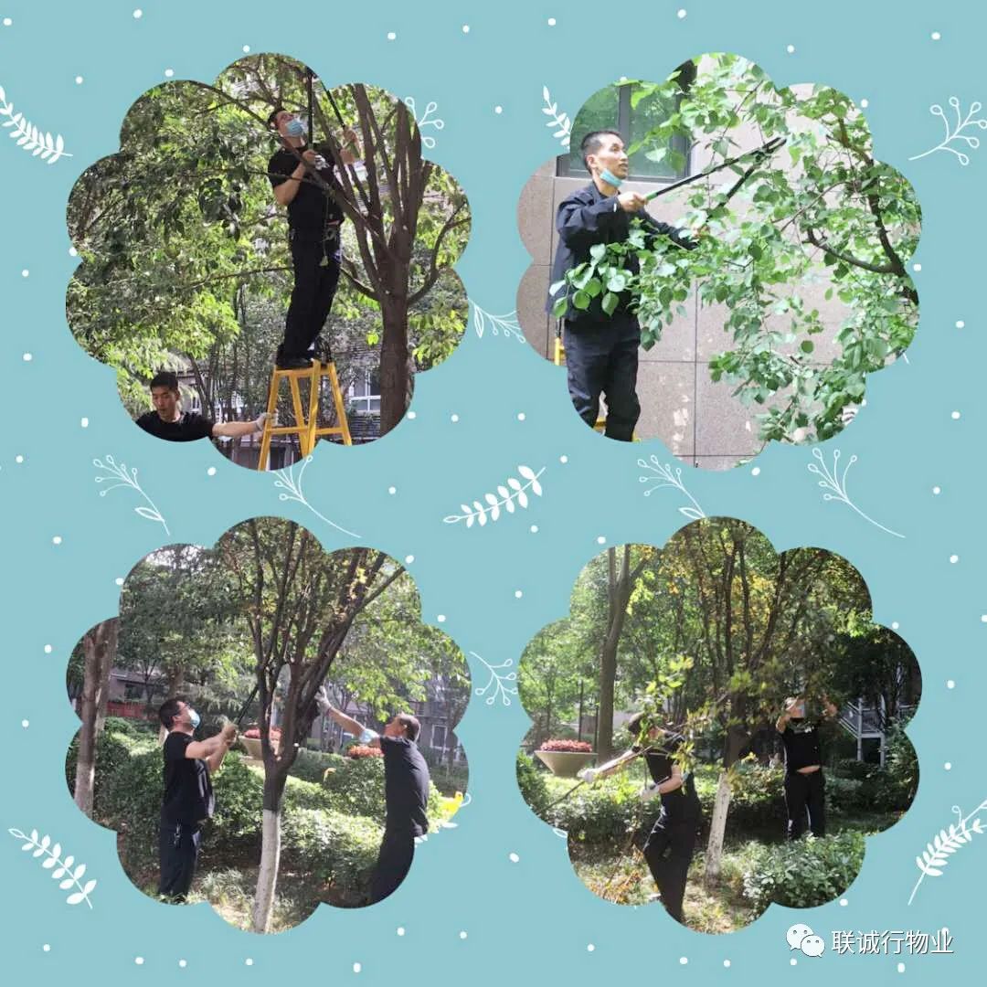 1592912393595809.jpg 29-3.jpg