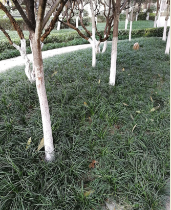 1594694818776904.png 图片4.png