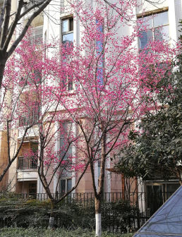 1594694841320247.png 图片3.png