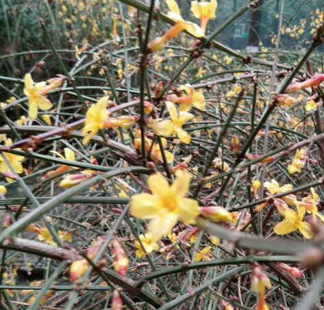 1594895575614329.png 图片6.png