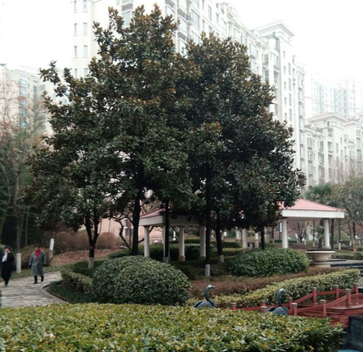 1594895615173571.png 图片7.png