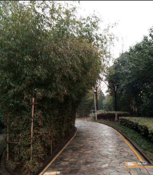 1594895643417457.png 图片8.png