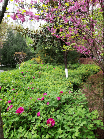 1594982427243451.png 图片2.png