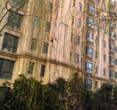 1594983045585659.jpg 1594983001(1).jpg