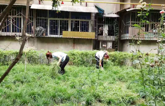 1595216053885920.png 图片4.png