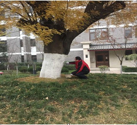 1595471165486596.png 图片14.png