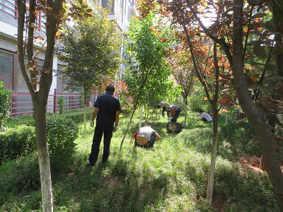 1595472203741245.png 图片21.png