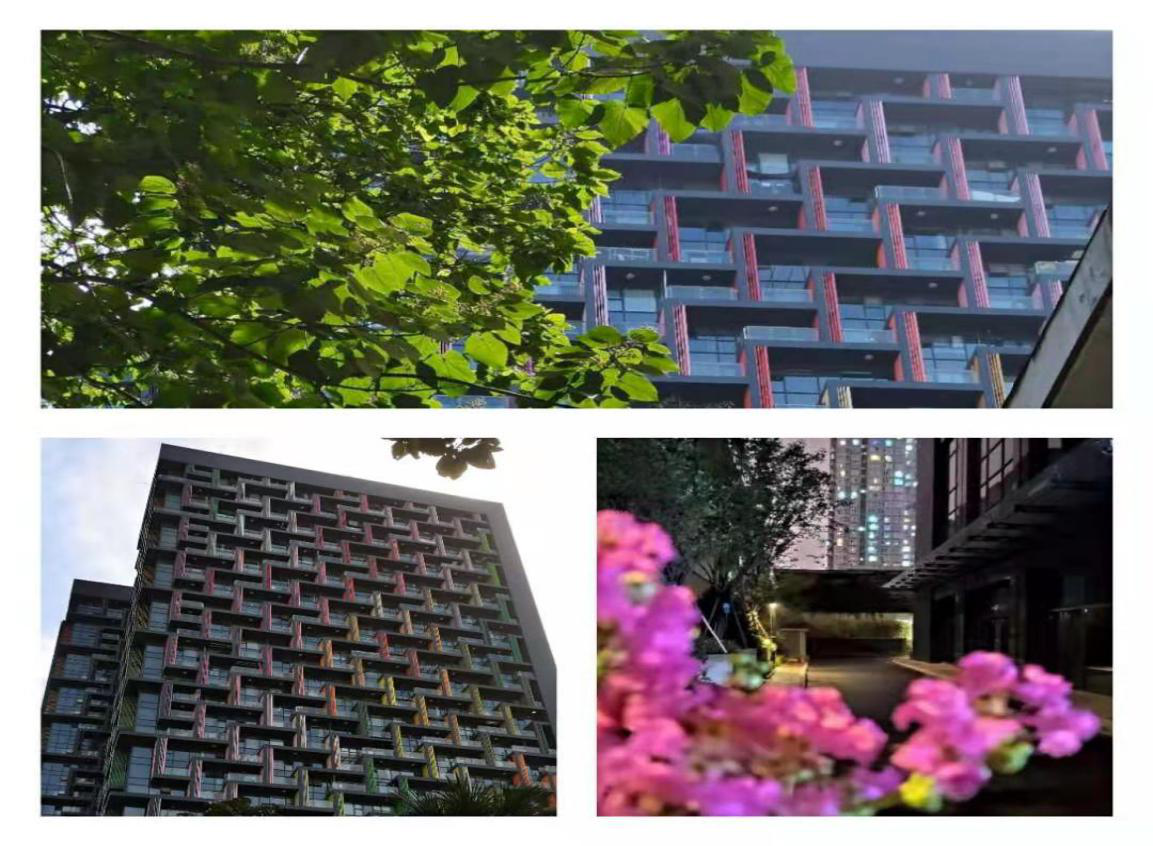 1616640536772924.png 1616640536772924.png