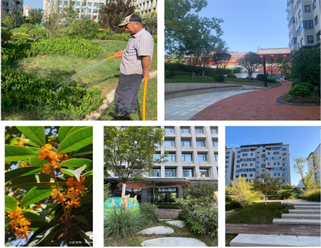 秋日接管大地、美好从未退场