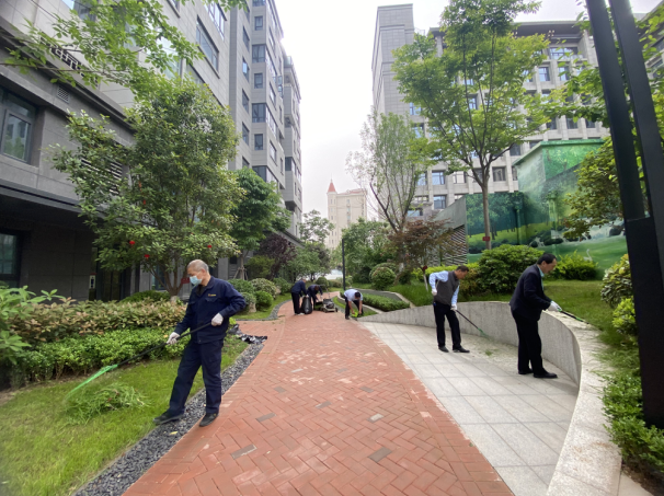 春风拂面 值此青绿--品质提升之,曲江源著管理处全员绿化
