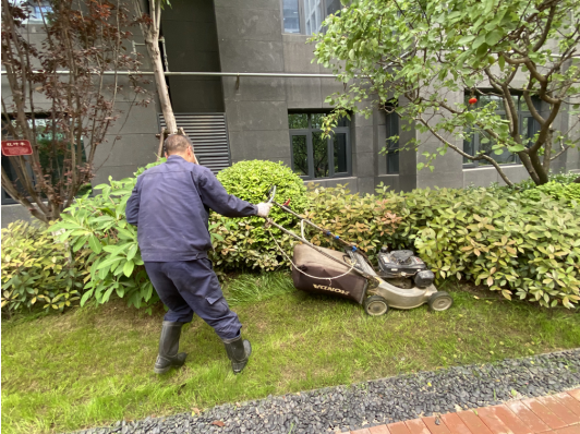 1683339727779451.png image.png