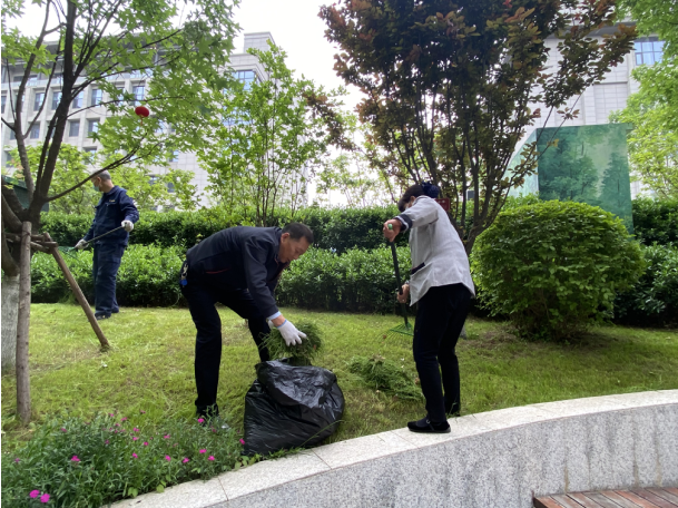 1683339940500944.png image.png