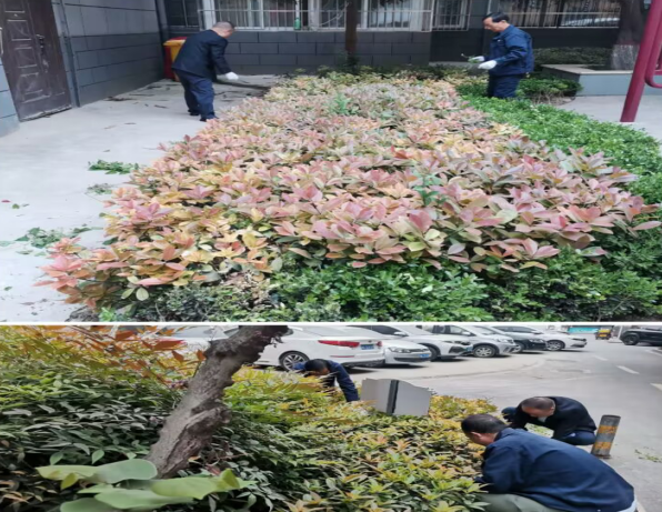 1685064596856952.png image.png