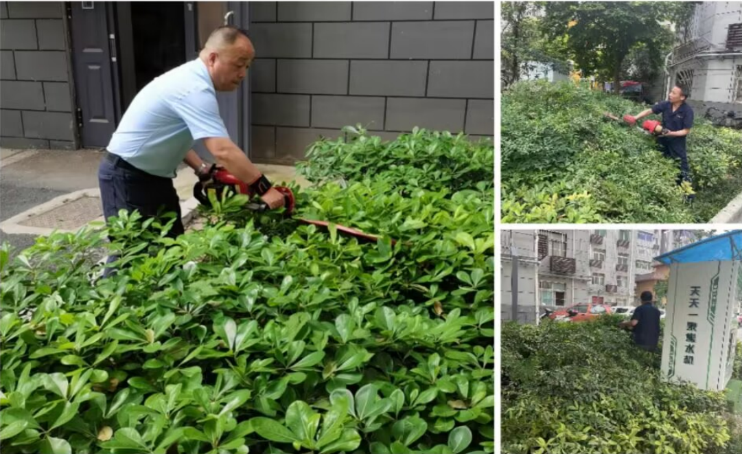 绿化环境千秋美 平衡生态万年春