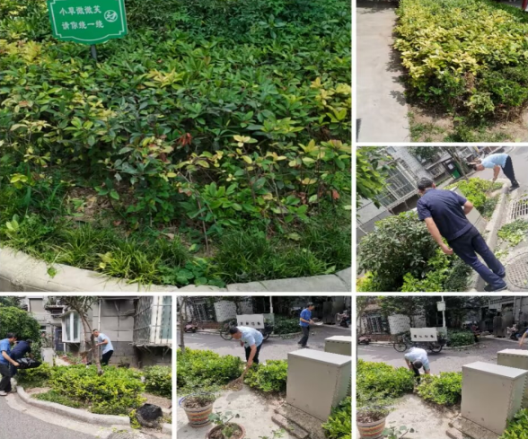 1688095463571576.png image.png