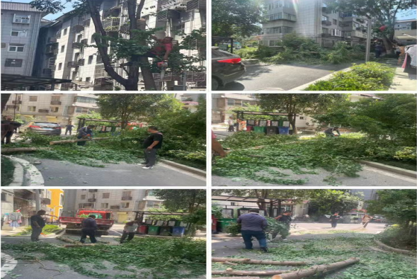 1692870451703216.png 1692870451703216.png