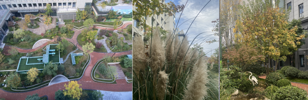 1698741022518401.png image.png