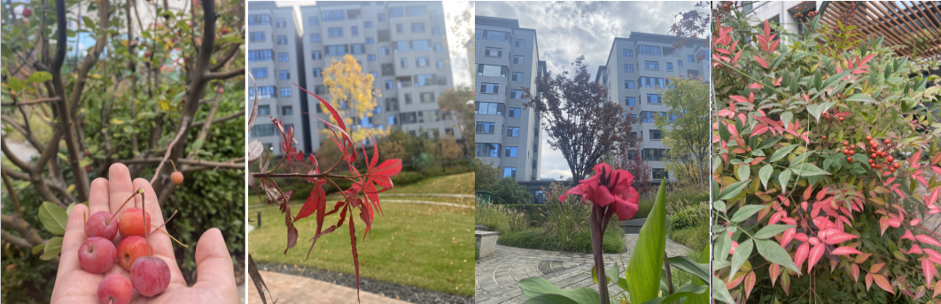 1698741434592287.png image.png