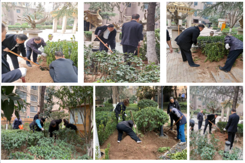 绿意盎然 美丽共享