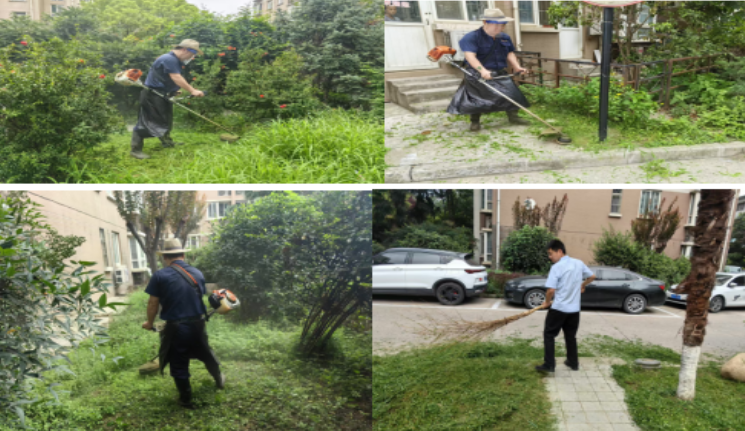 1721898004259512.png image.png