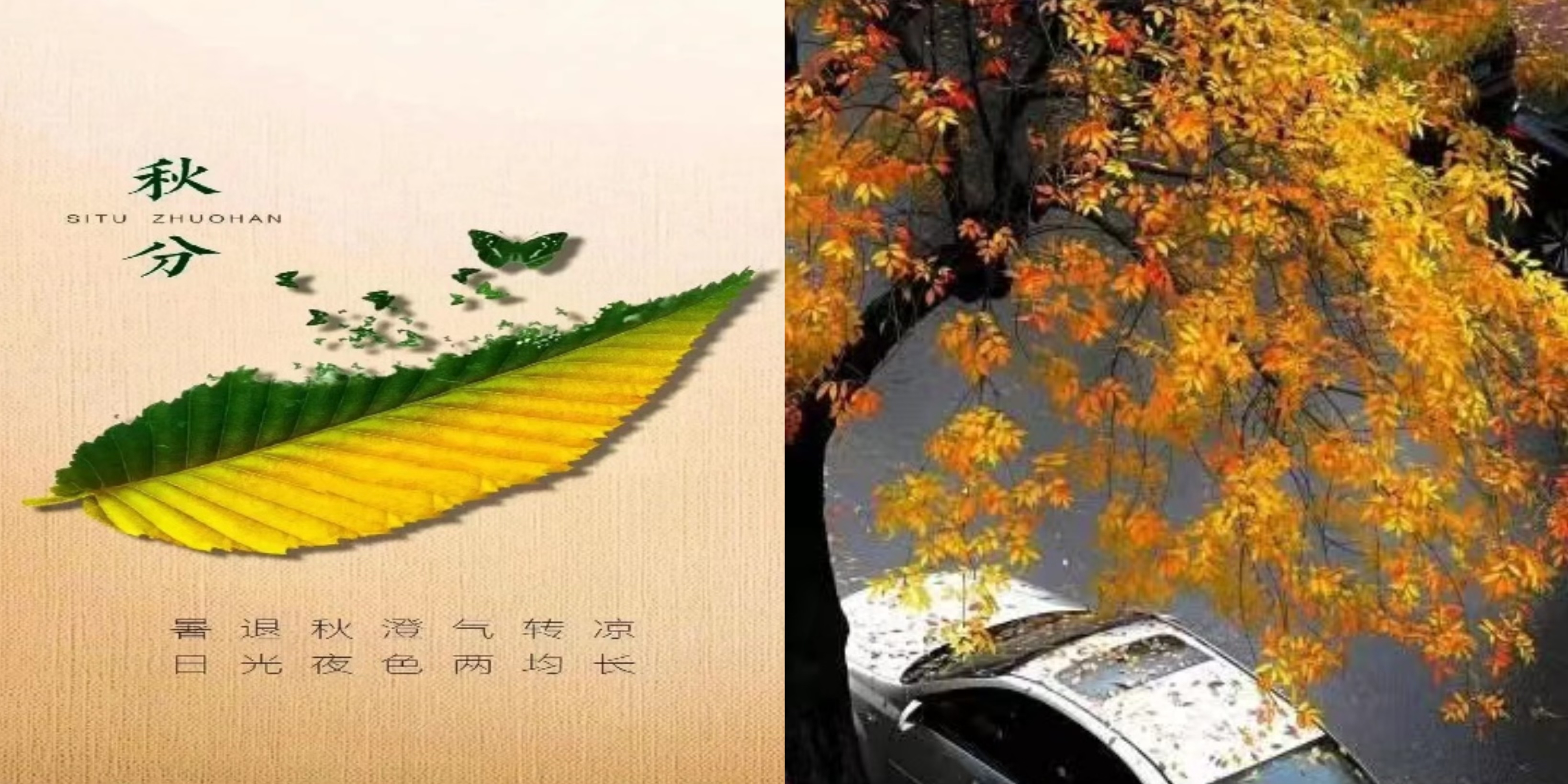 1729319513643007.jpg 6ccc002c-2e59-4a7c-8622-9f12e40b11fe.jpg