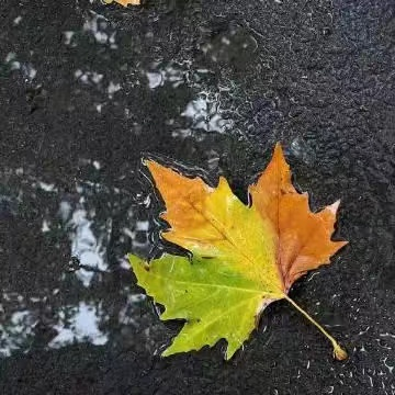 1729319563131772.png 企业微信截图_1729319453844.png