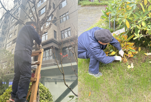 1733969001922036.png 1733969001922036.png