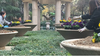 冬之花韵 缀点园区