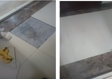 1734517076382277.jpg 1734517072552.jpg