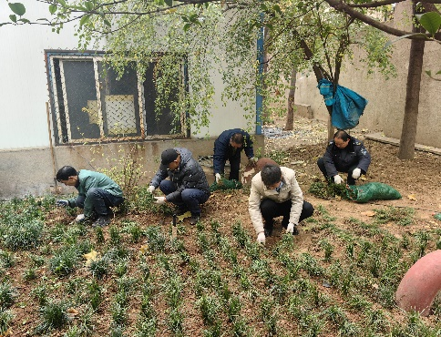 补栽增绿 我们在行动