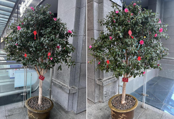 1741946737642093.png 企业微信截图_17419467239650.png